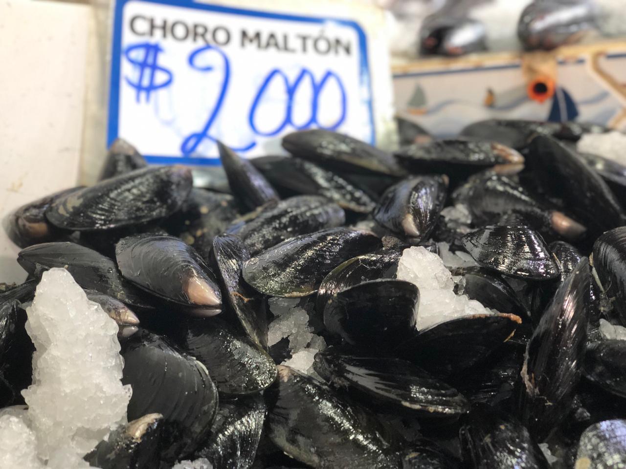 PHOTO-2019-04-16-14-56-43