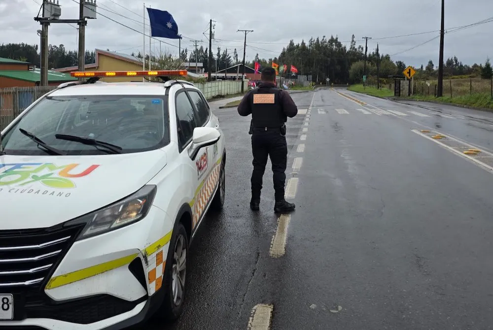 FIESTAS PATRIAS CONTROLES