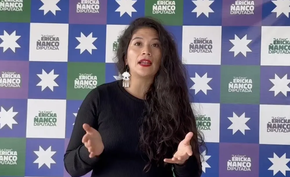 Diputada Ericka Nanco por Corte Suprema