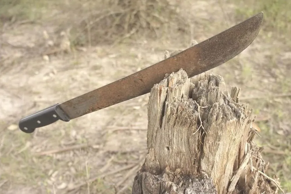 Machete - fotografia referencial