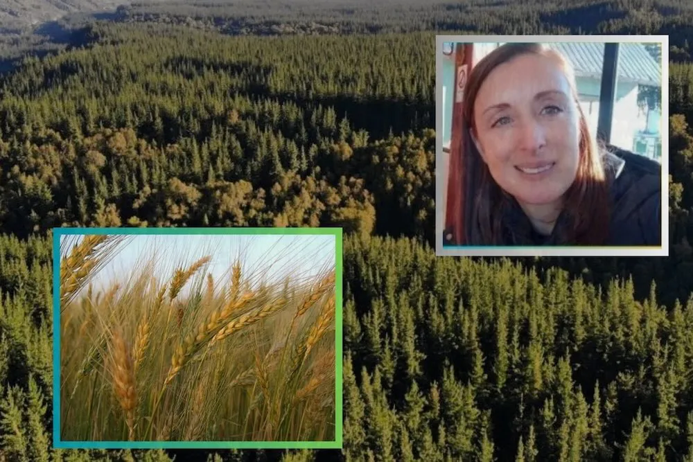 Ximena Sepulveda - El Trigo no Crece entre los Pinos