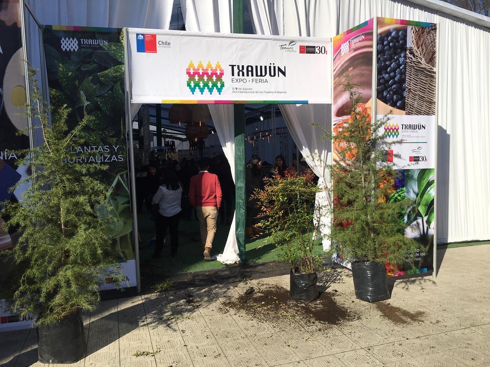 Expo Feria Trawun Temuco