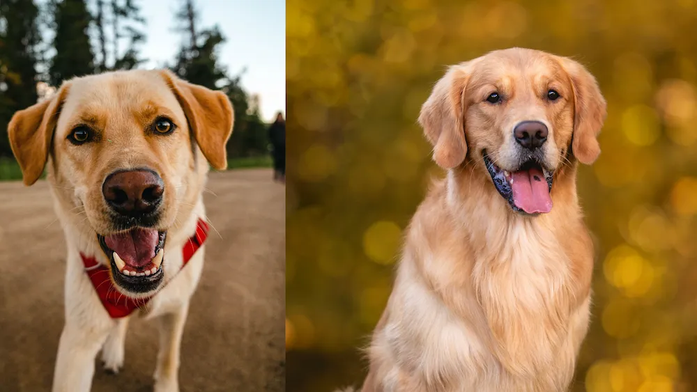 Diseño sin título (1)