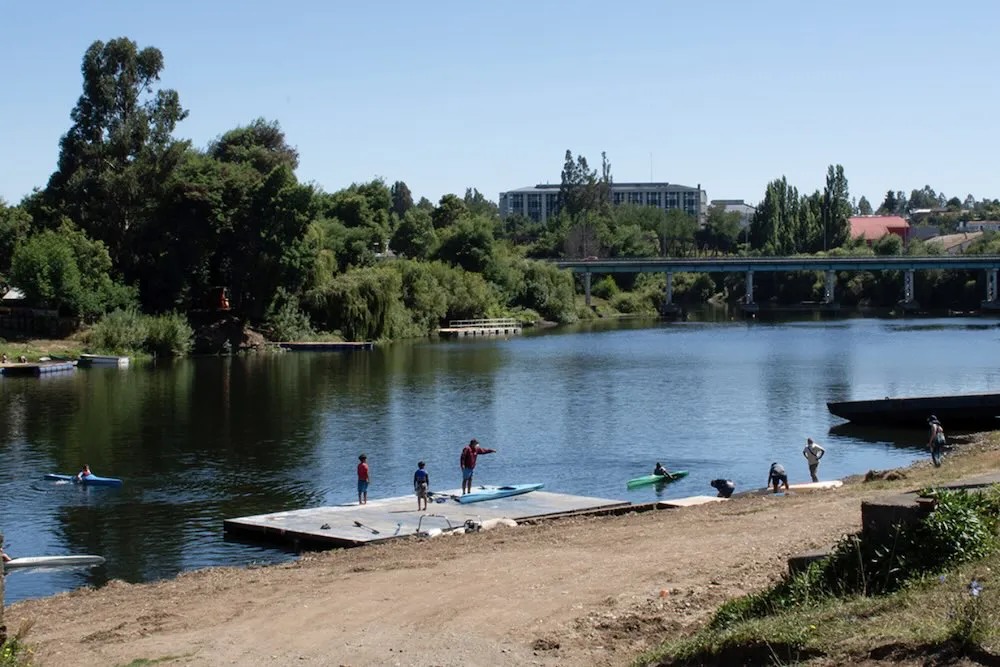 Cedyr Nueva Imperial - fotografia referencial