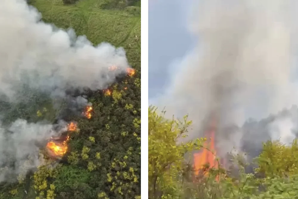 Incendio forestal en Pedro de Valdivia por un rayo - Temuco