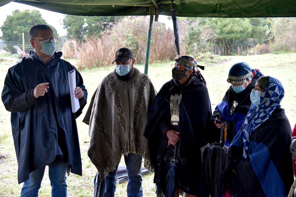 Municipio de Temuco lidera a nivel nacional la protección de humedales urbanos