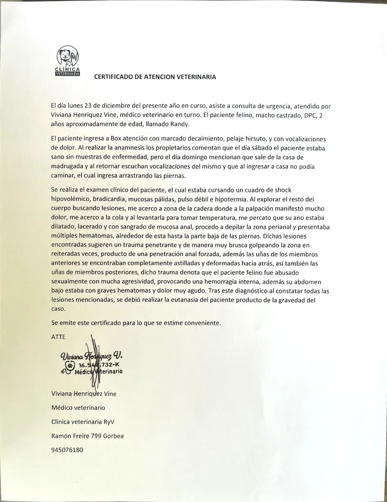 Certificado Medico Veterinario atencion Randy