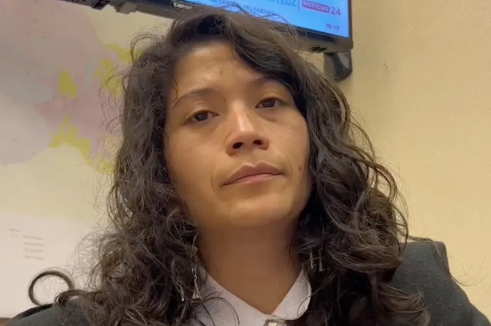 Diputada Ericka Nanco