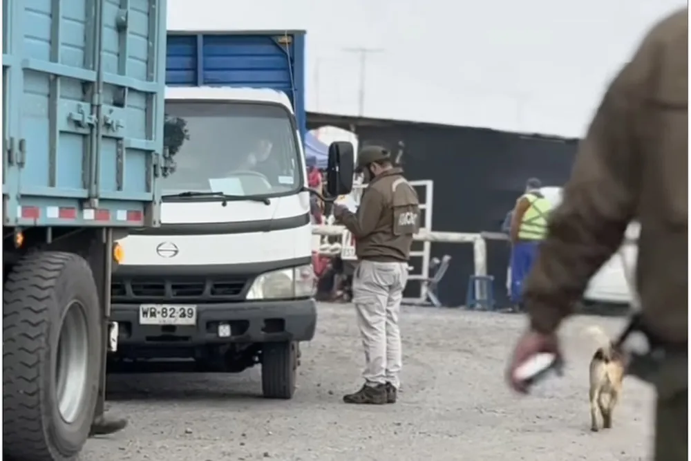 Carabineros controlando origen de animales - abigeato