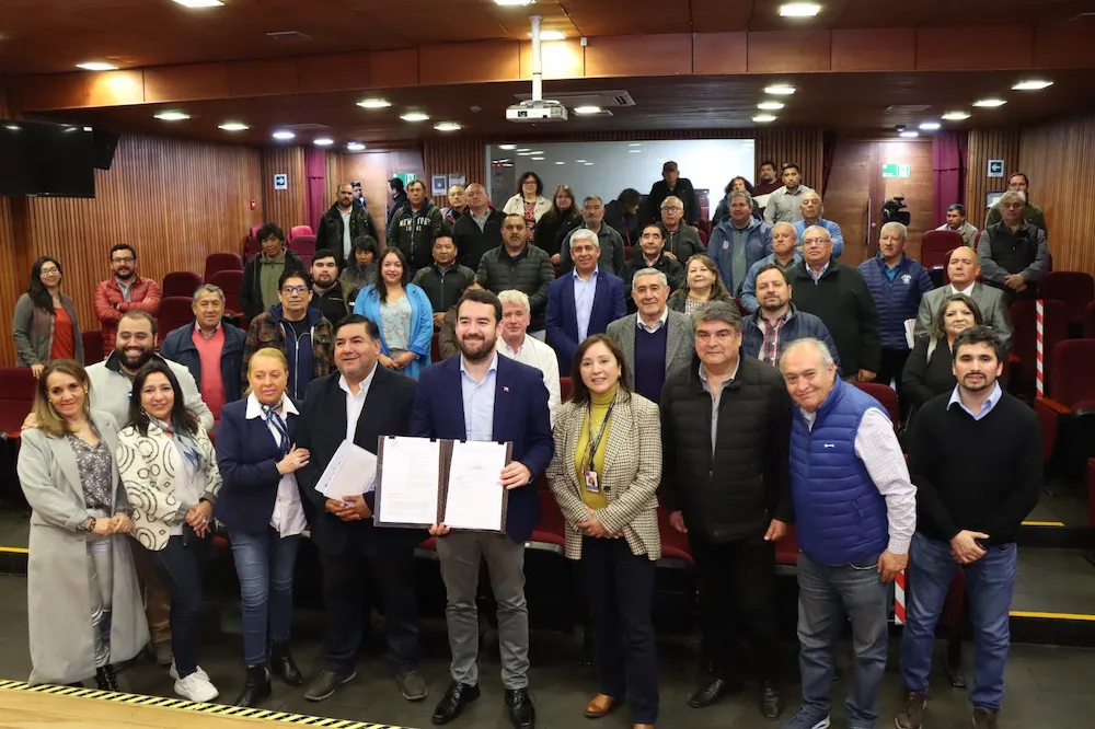 GORE Araucania y Taxis colectivos
