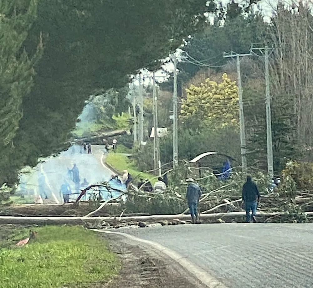 Corte camino Lautaro - Curacautin