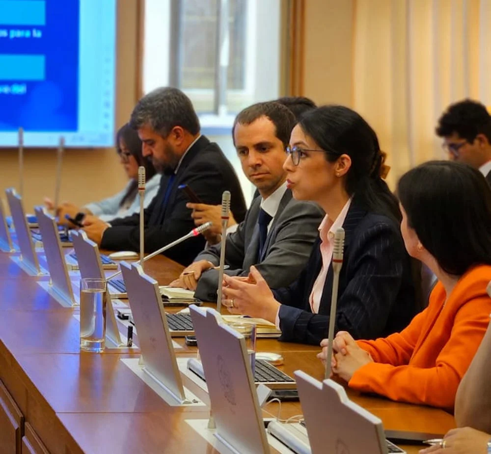 Contraloria Plan de Descontaminación del Lago Villarrica