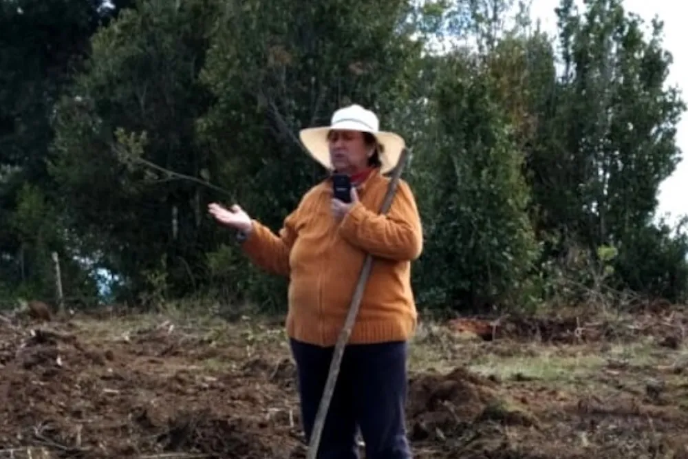 Francisca Currihuinca - Tolten