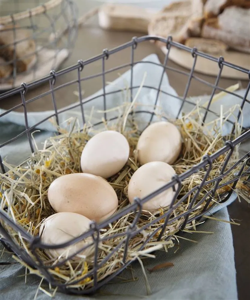 Huevos de gallinero casero