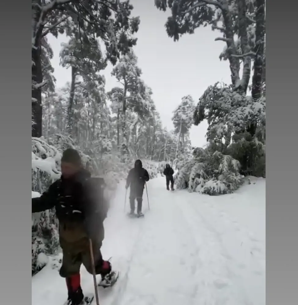 Busqueda de Claudio Moreno