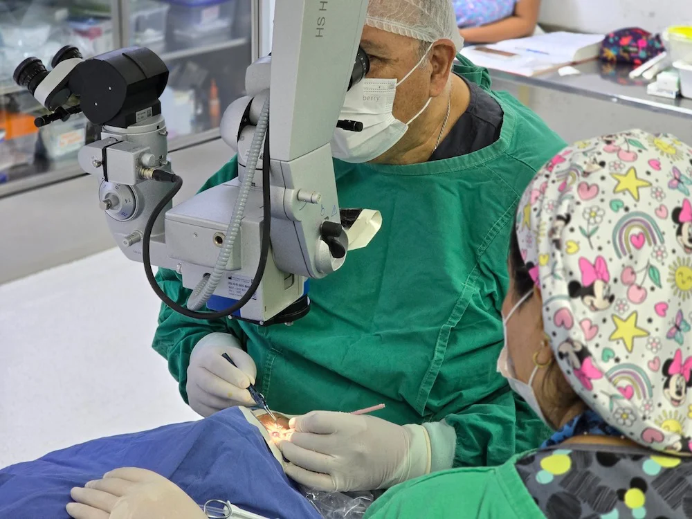 trasplantes de córnea en el sistema público