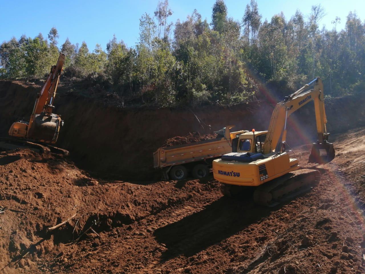 Denuncian tala ilegal de árboles nativos en parcelas irregulares en Loncoche