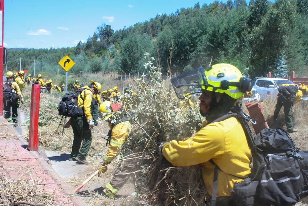 brigadistas mexicanos