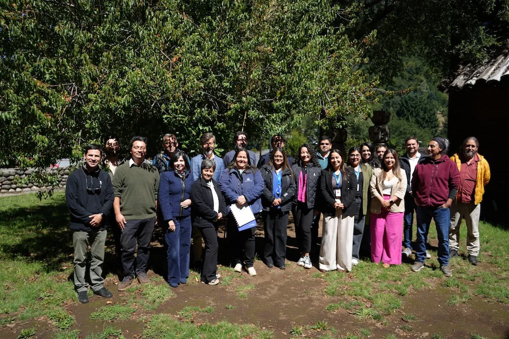 GORE Araucanía inicia talleres territoriales