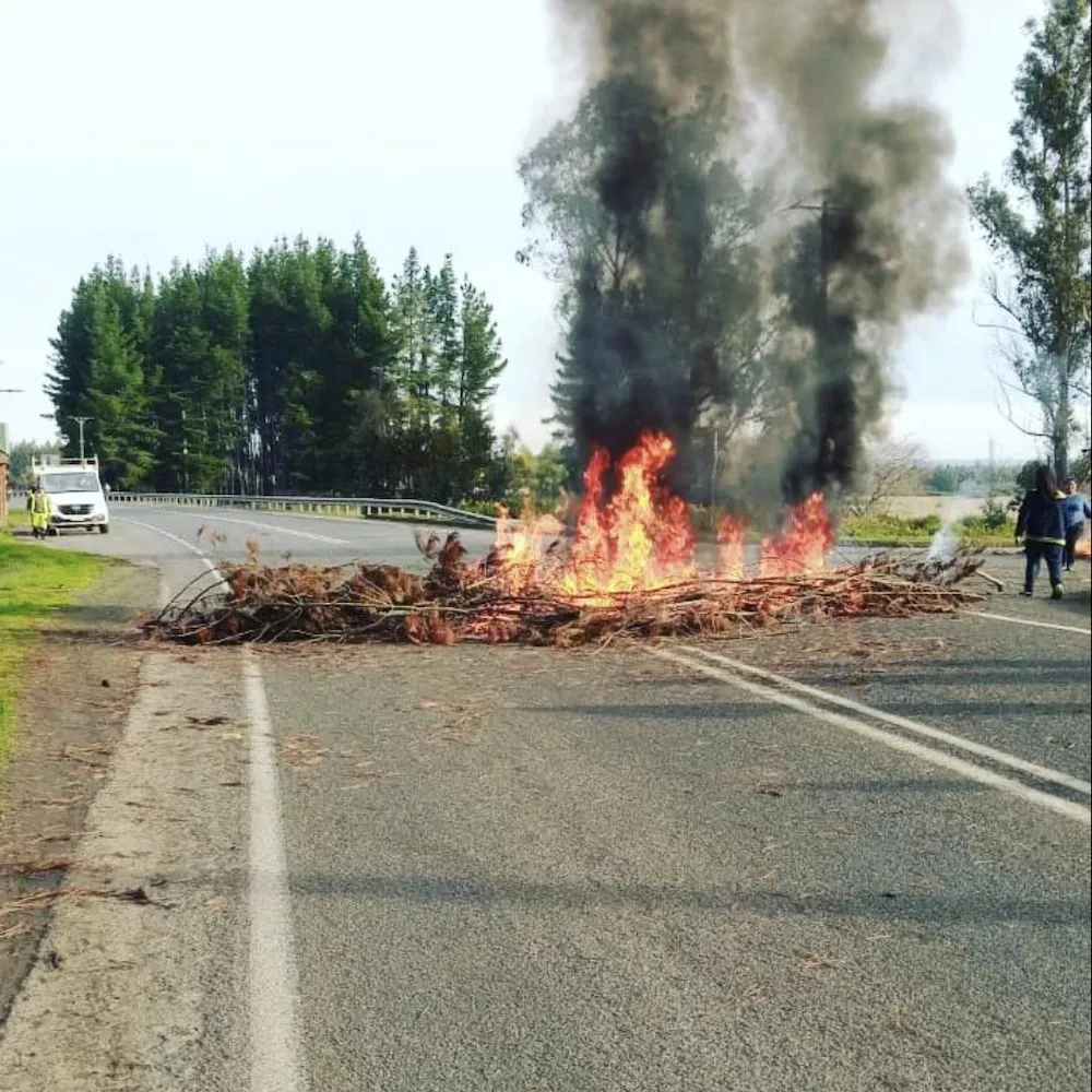 Barricadas Cholchol