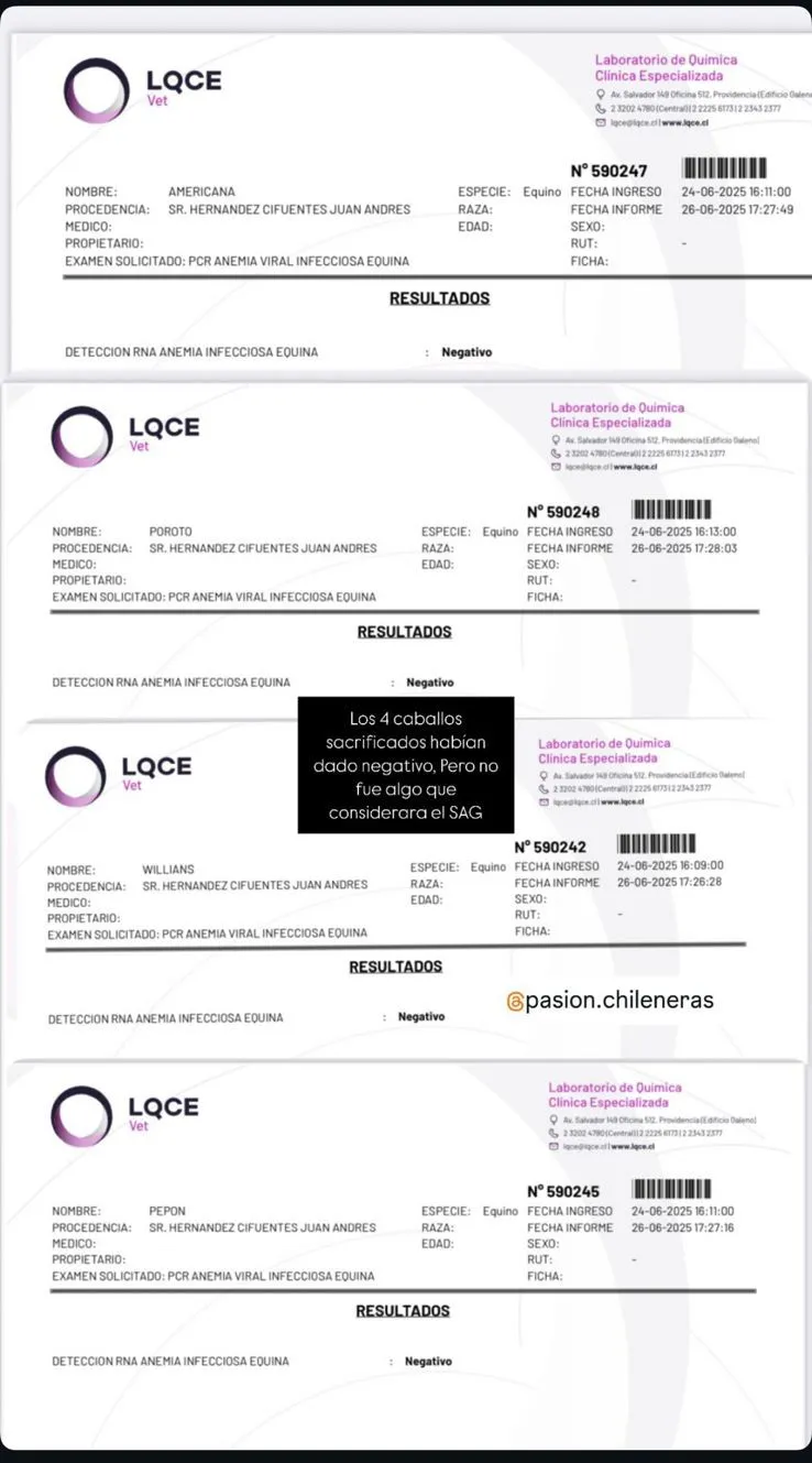 Examenes negativos al virus de anemia equina por caballos sacrificados