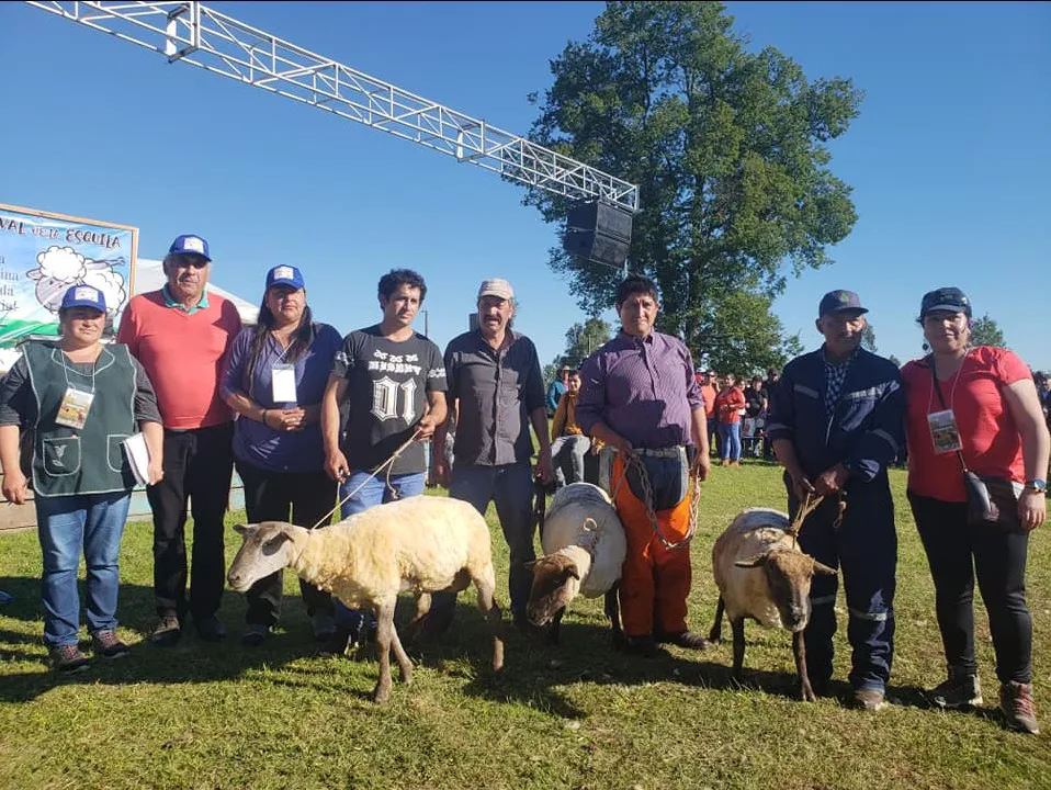 WhatsApp Image 2023-11-20 at 12.26.58